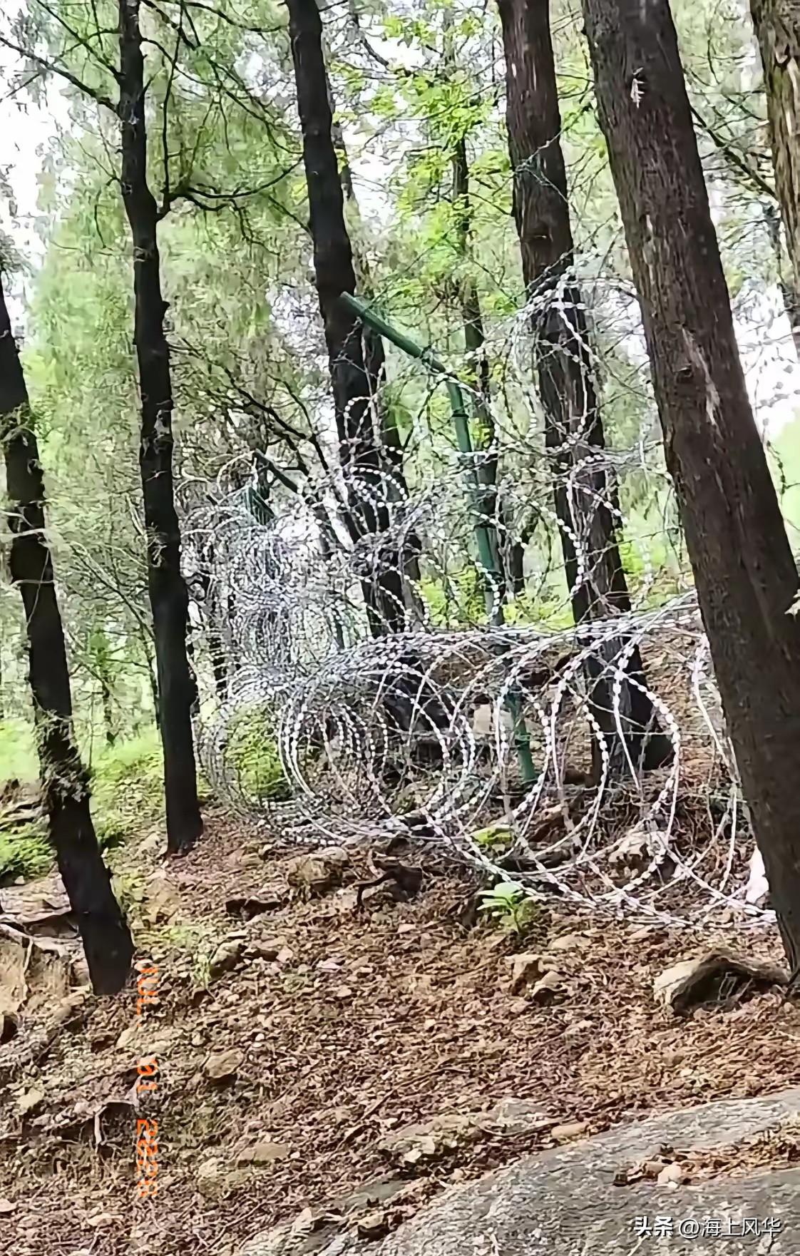 太好了！舆论呼声得到了重视，整改动作迅速落地：6月30日，泰山管委会正式表态，将