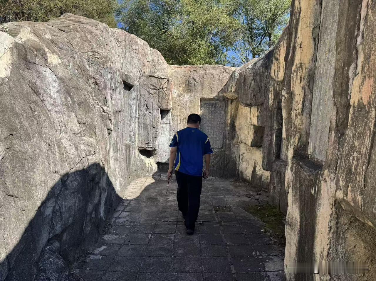 妻子最近无所事事，除了打乒乓球，每天回来就是呆呆地望着窗外。我问她：窗外有什么？