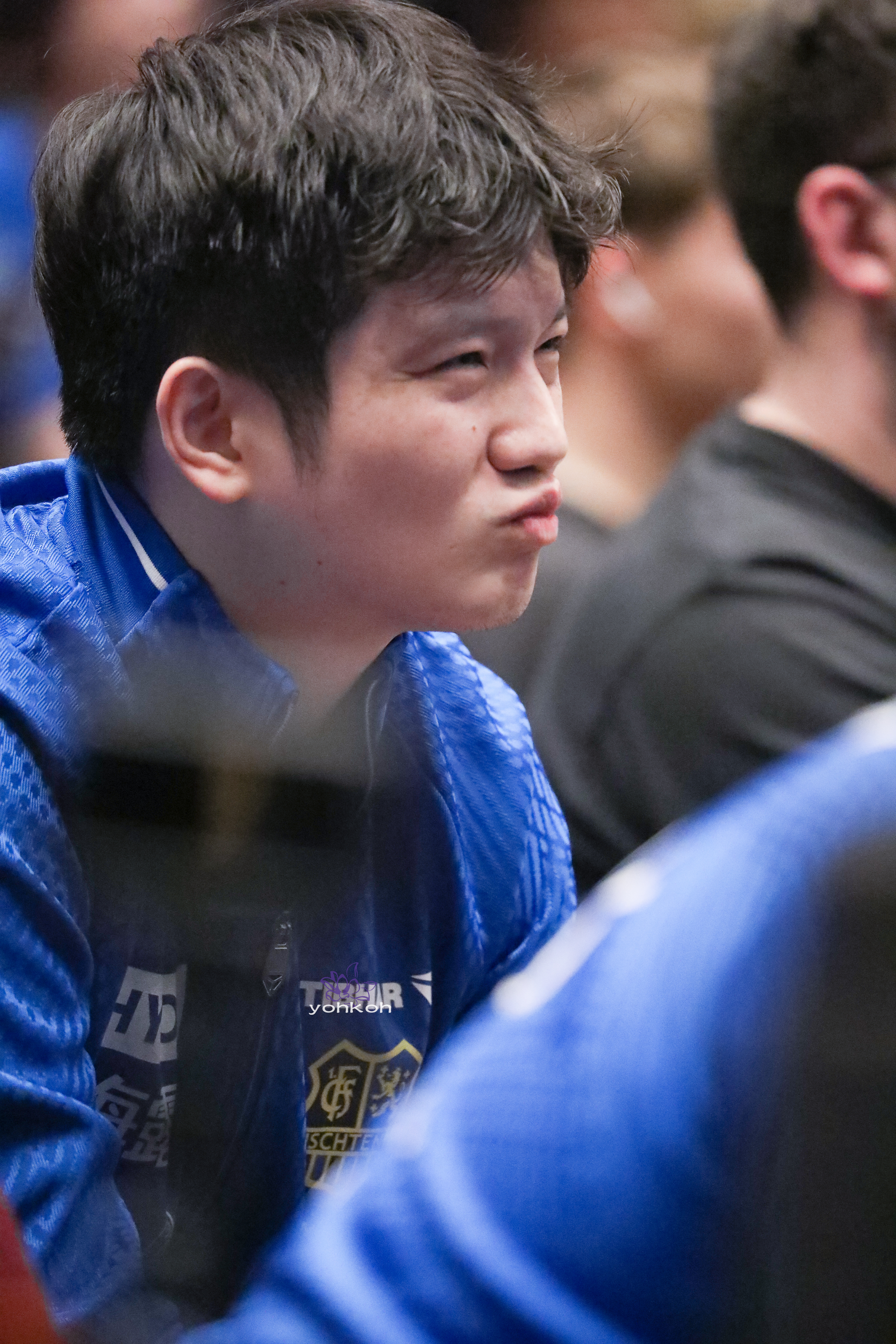 樊振东樊振东德甲 前路开满鲜花「20251221德甲乒乓球联赛」东东午安繁星晚好