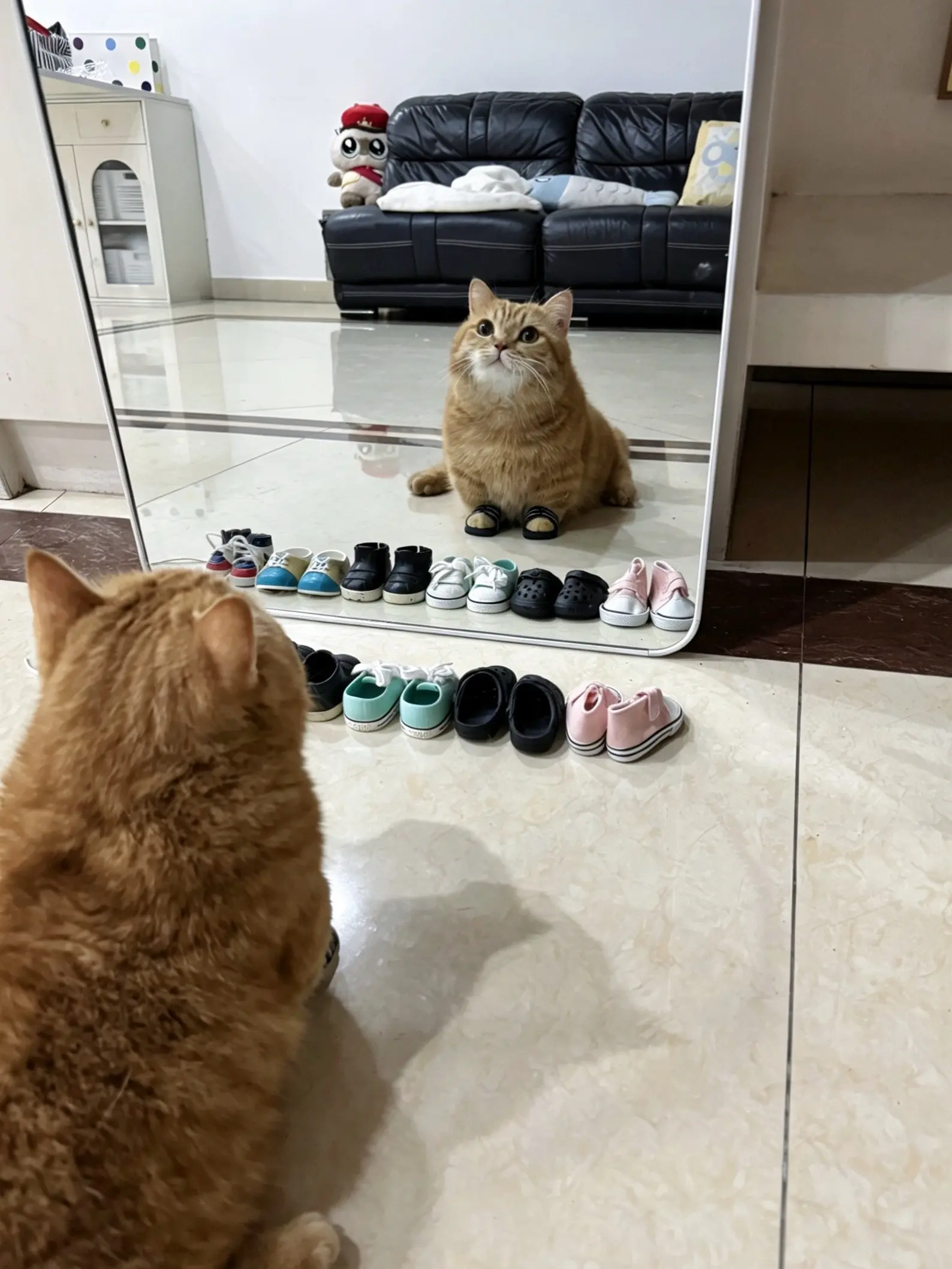 广东省鞋～