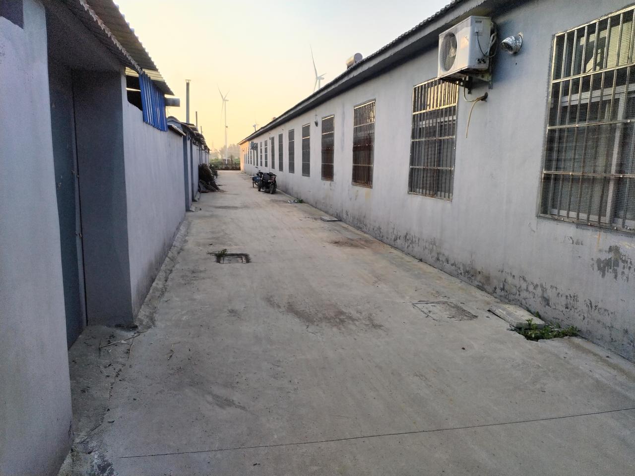 今天回老家了，老家的房子，老家的树，老家的乡，亲人老家的一切。都格外的亲切，回到