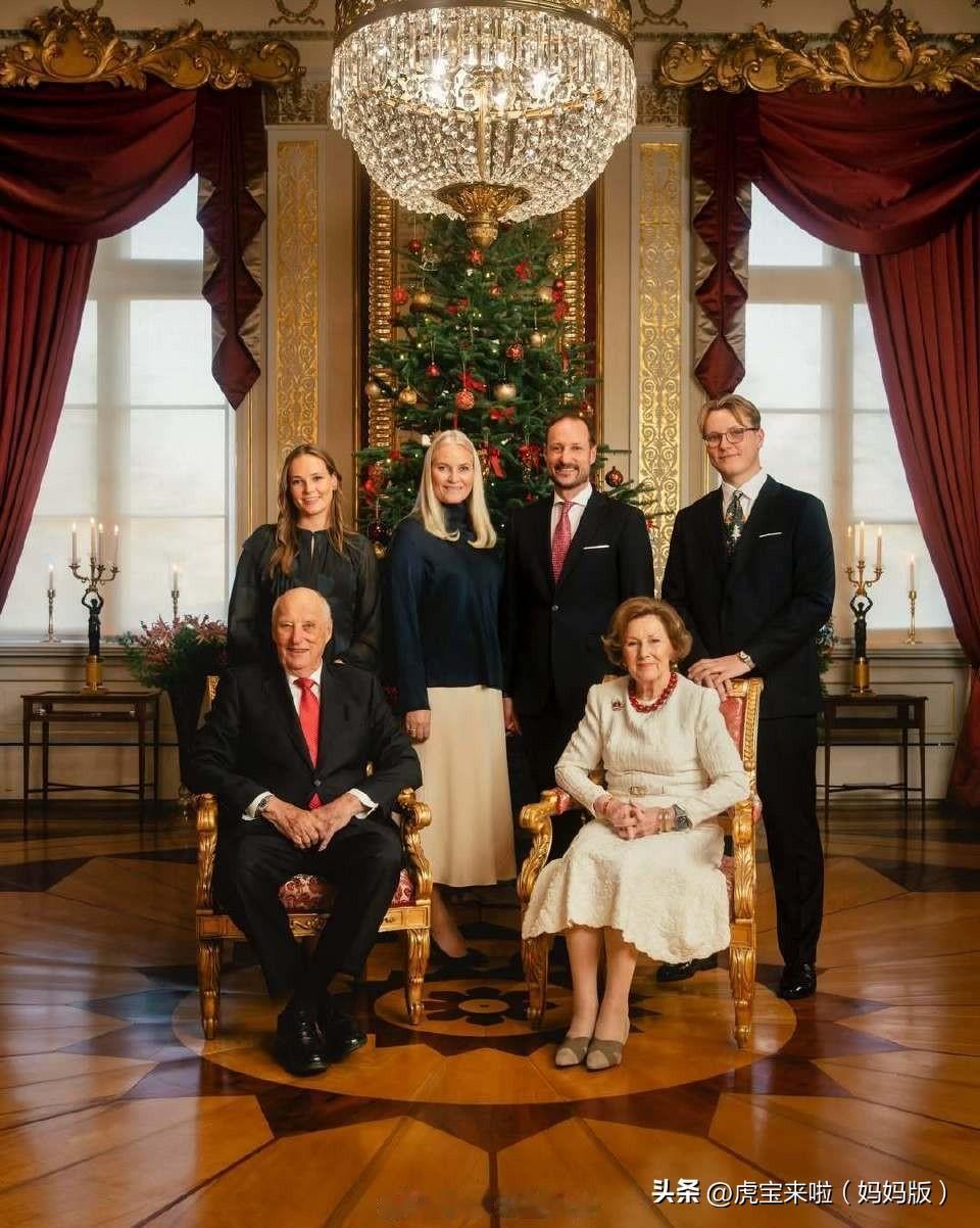 官宣今年的圣诞贺卡照，圣诞树前温馨感人！