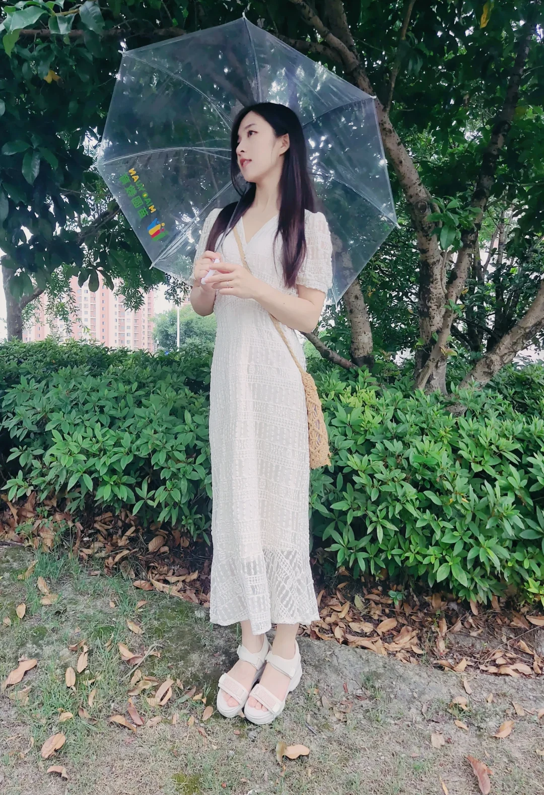 雨后的等待