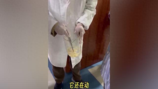 12月2日，上海，40岁女子洗澡时肛门刺痒，还掉出了一节面条状的活物，女子赶紧到