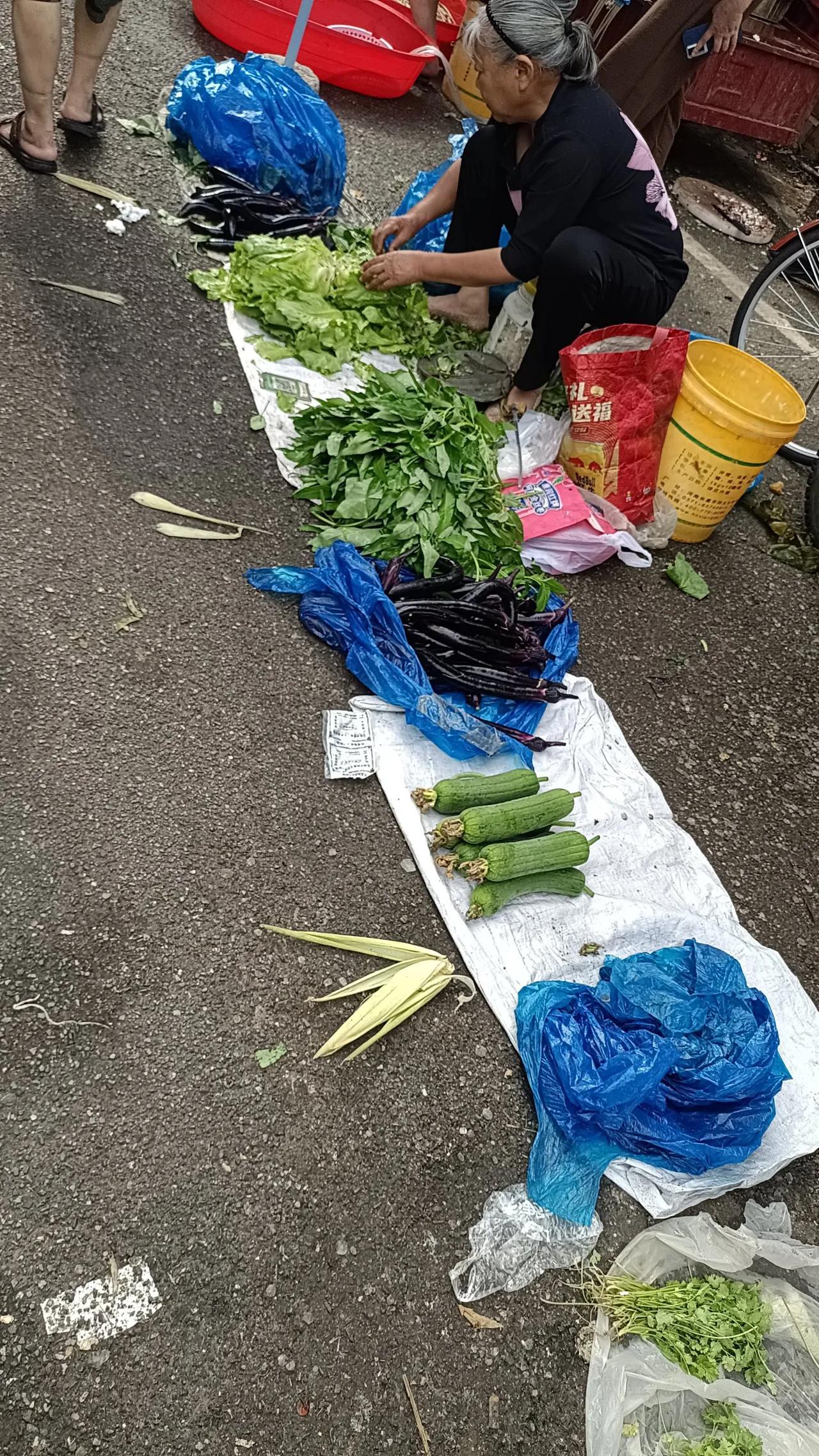 今日暖心语录