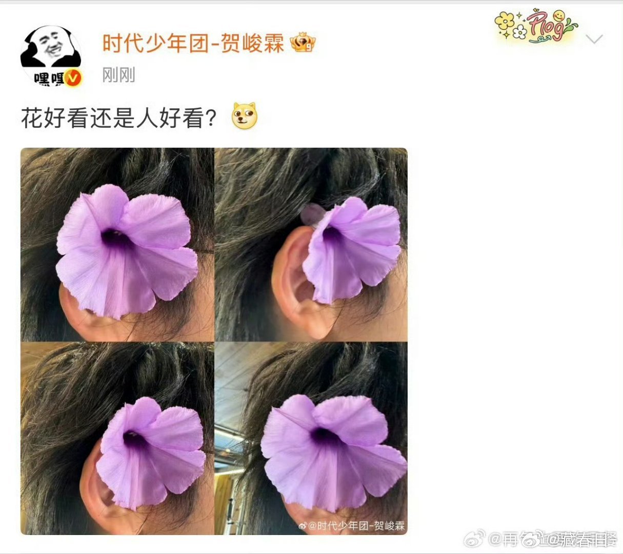 时团愚人节团建时代少年团愚人节互发 时团这个团建很可以啊！爱看多发 