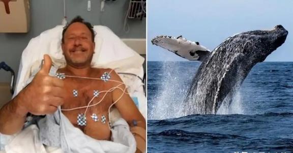 2021年，美国一男子在海底潜水捕捉龙虾时，突然被15米长的坐头鲸整个吞下，本以