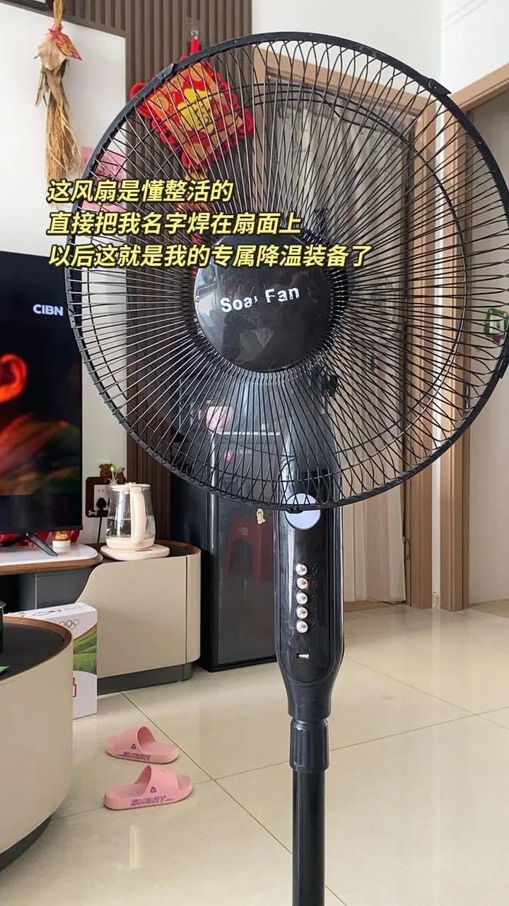 ai创作 家庭必备风扇 风扇推荐 家用电风扇 电风扇推荐