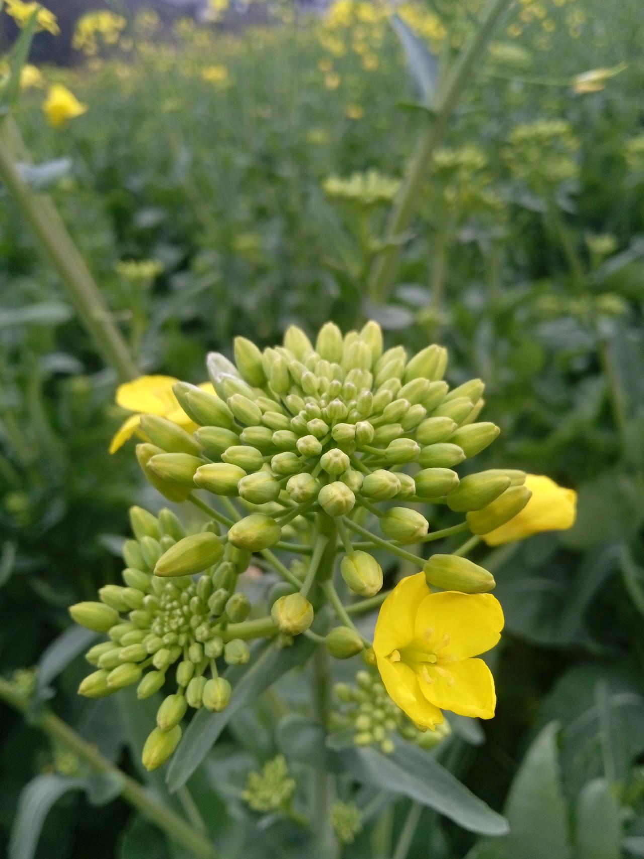 “绝大多数人将在七十多岁死去，能活到80岁也是小概率事件，七零八零后剩余预期寿命