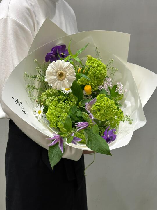 春日花｜沉浸式的治愈🌿🌳🍀