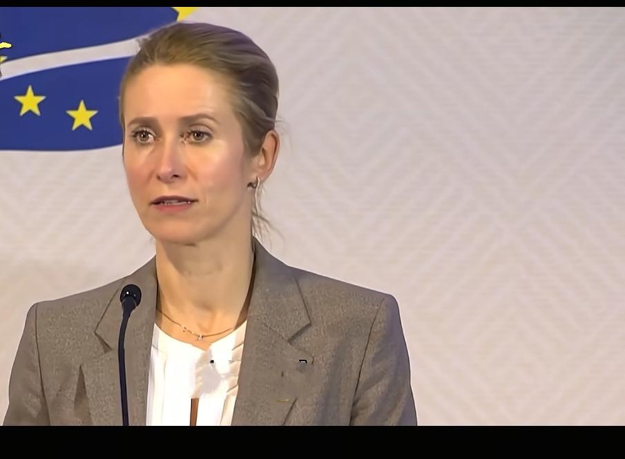 大家还记得那位质疑中俄对二战作贡献的欧盟外交与安全政策高级代表卡拉斯吗？这位"奇