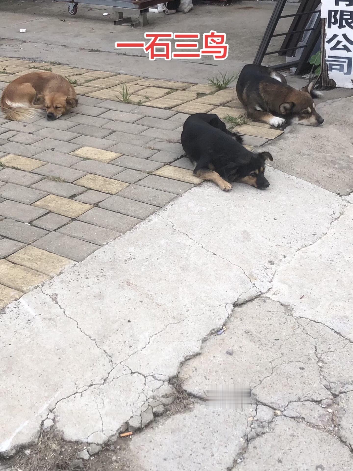 嘉靖末年，内阁首辅之争趋于白热化，此时斗争最厉害的当属现任内阁首辅徐阶...