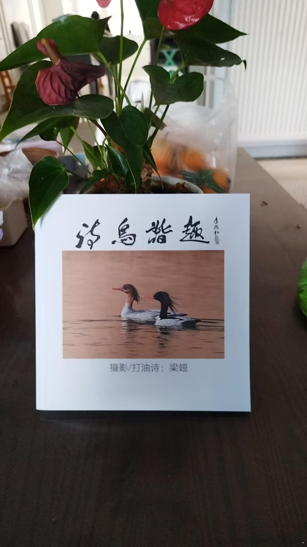三秋大姐的原话，收藏一下东篱，书已经收到，很好，我很喜欢。其实，我觉得出书并不太