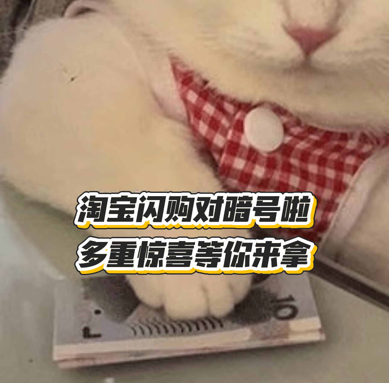 双11在淘宝闪购对上暗号了 淘宝闪购双11限量套餐 一代人有一代人的鸡蛋要领，0