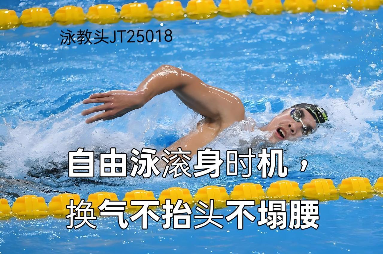 泳教头 | 泳讲堂：自由泳滚身时机，换气不抬头不塌腰
 
自由泳换气难、身体变形
