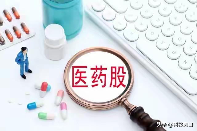 估值洼地起飞！化学制药赛道多股20CM涨停，今日涨幅全公布
 
化学制药与特色原