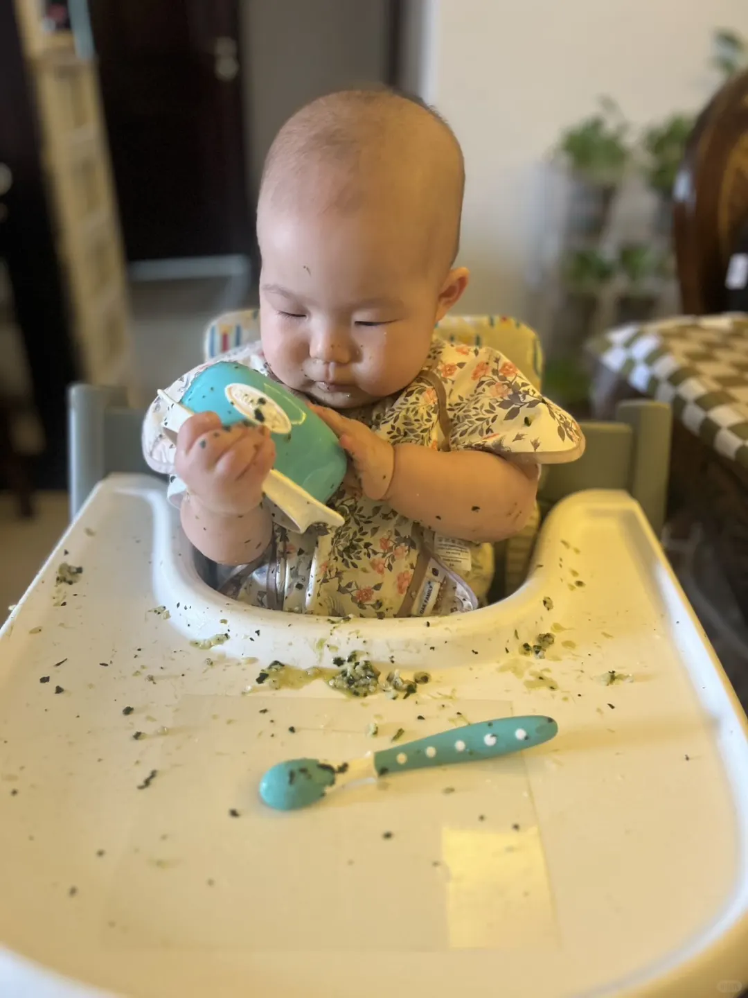 八月龄宝宝第一口十倍粥