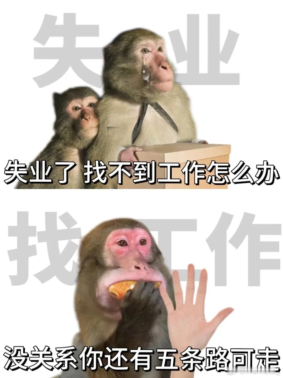工资貌似真的回到3500元的时代了  虽然工资变少了，物价上涨了，银行利率变少了