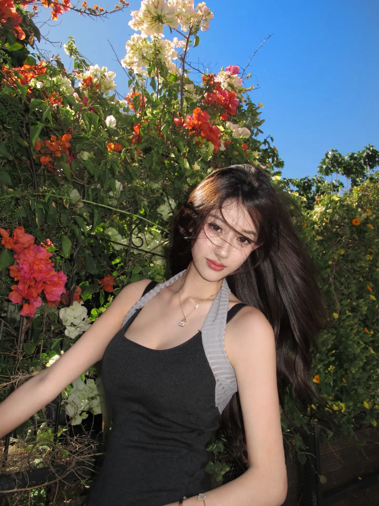 春天🌺