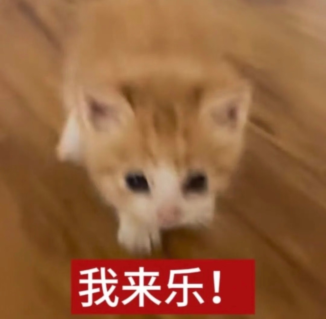 每日基础任务👊🏻每个浩都必须完成1️⃣签到+超like所有人所有浩在主超签到