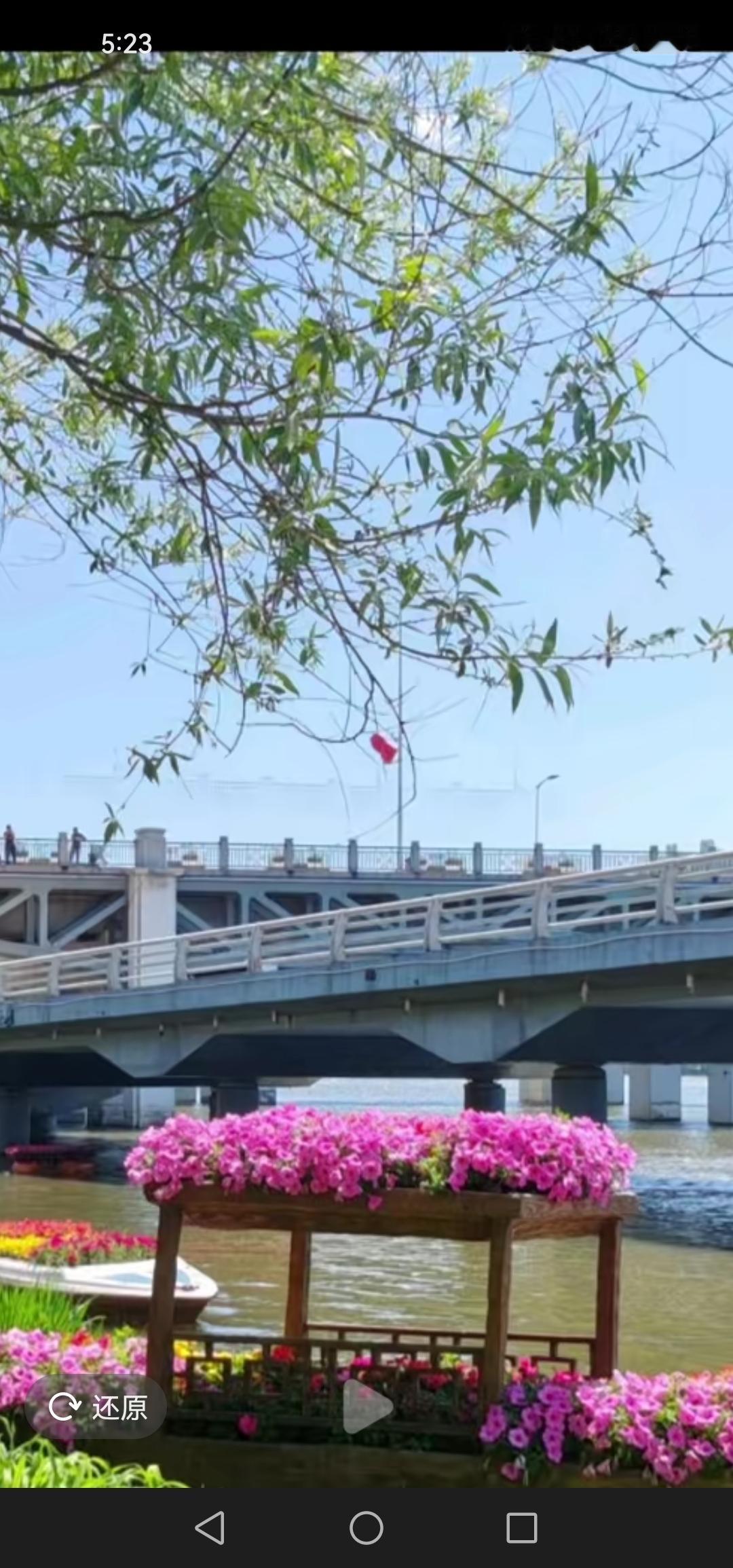 吉林市松江中路天主教堂门前的江边建设了新的花园，有的在陆地上，有的就在水中漂浮，