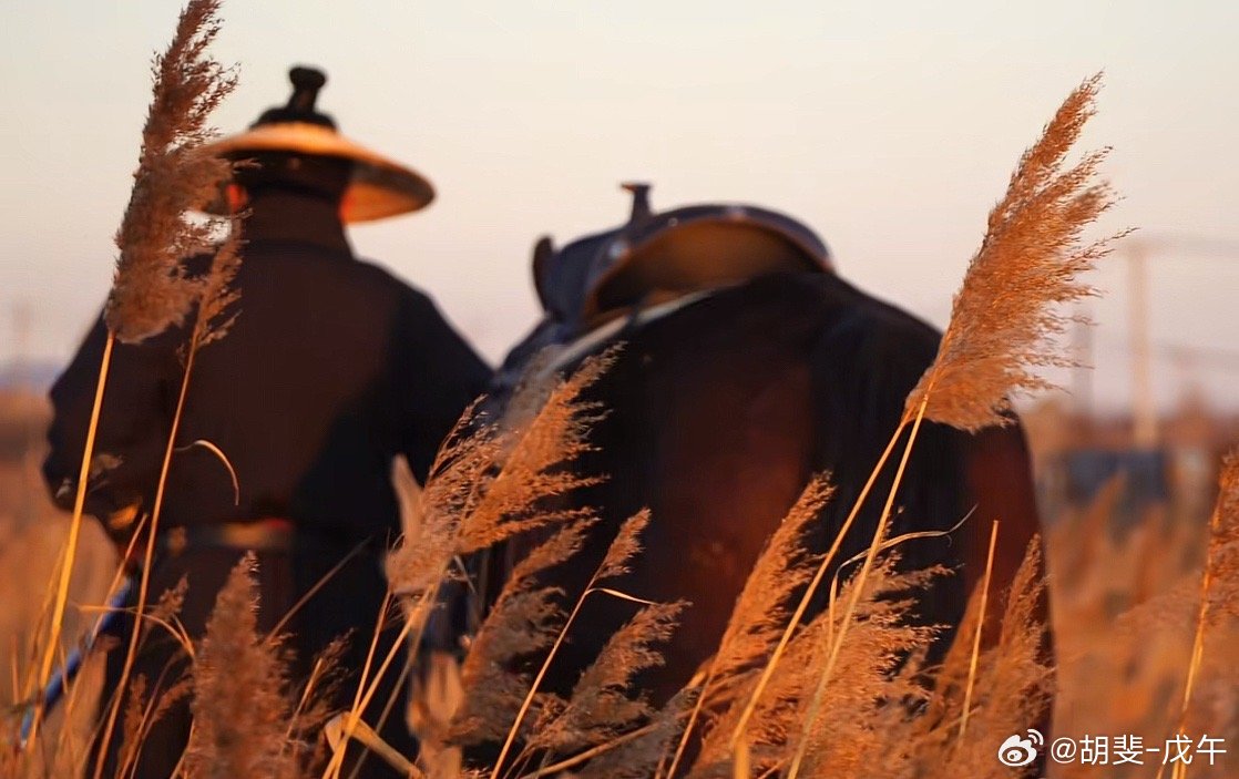 人心本是云边月，聚散原如陌上尘！ 