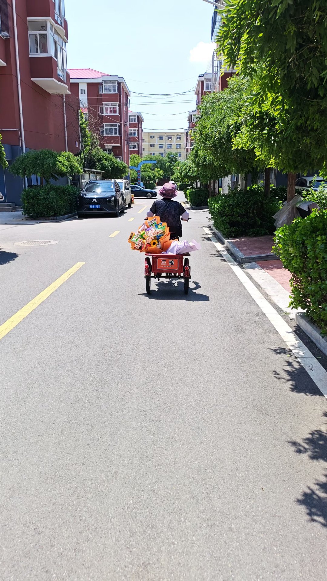 随手拍随手拍路上偶遇，这一定是一个幸福的考生愿所有努力都得偿所愿✨ 