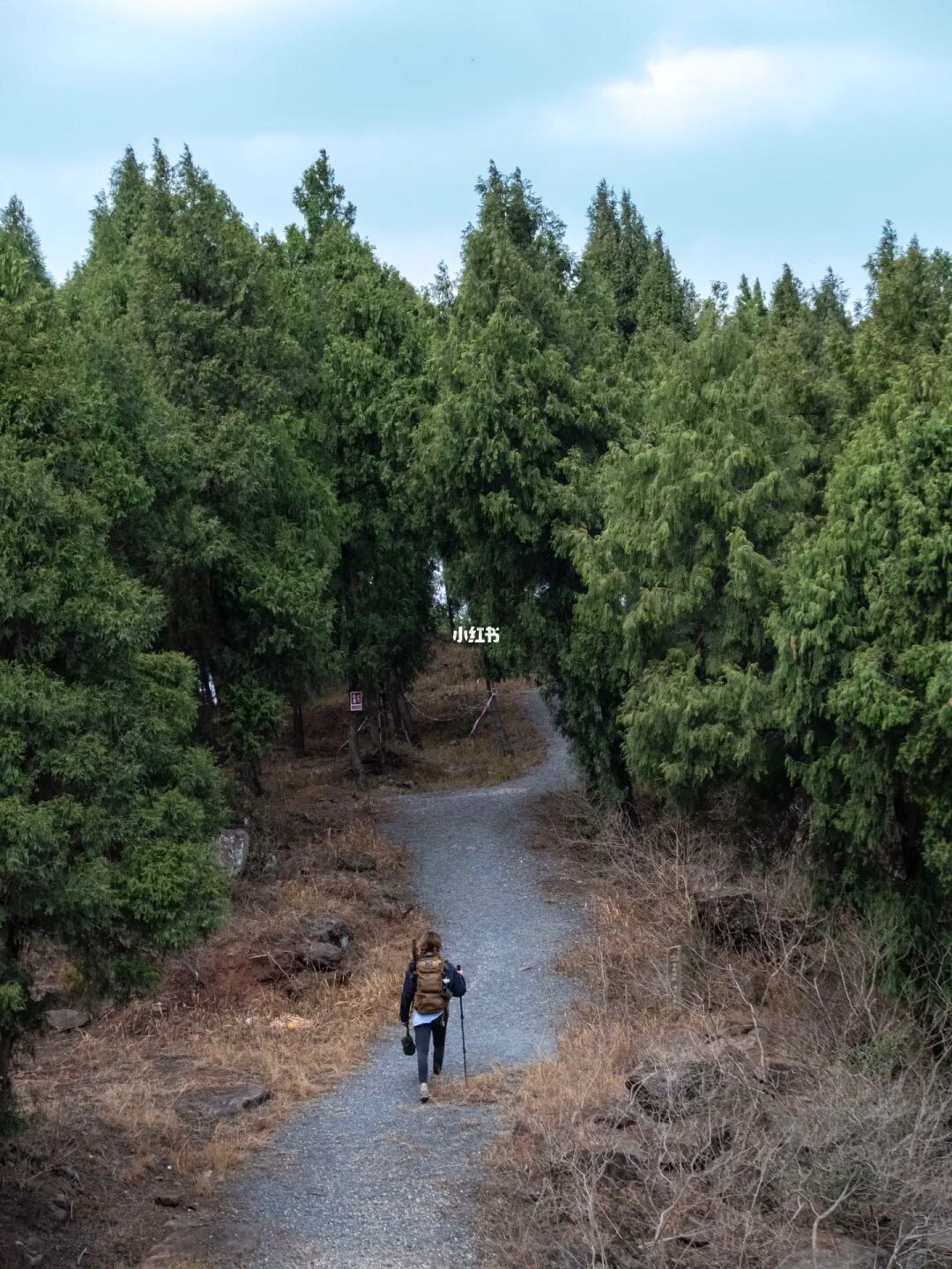 成都1h‼️国家徒步道㊙️宝藏徒步路线🌳附地图