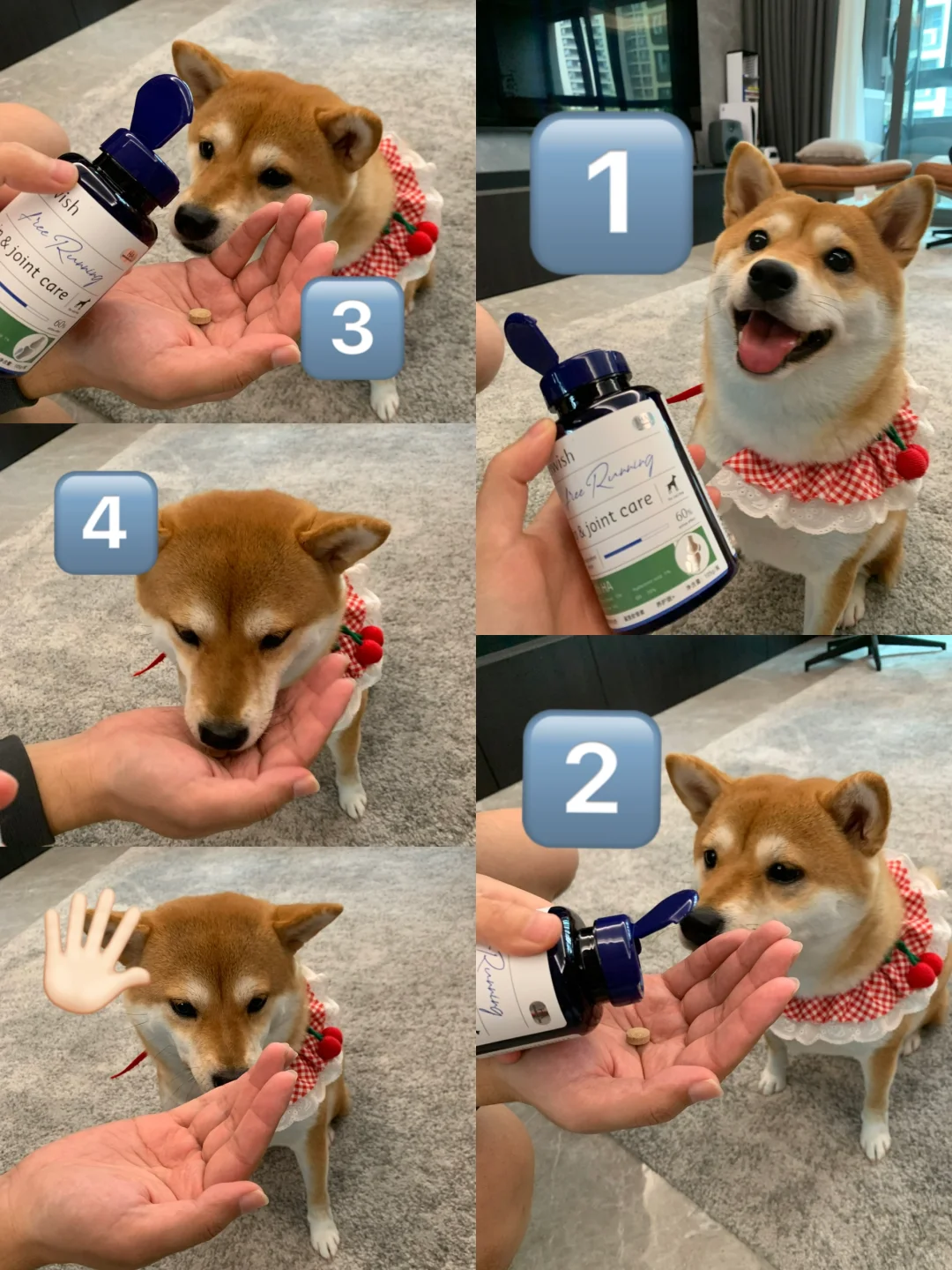 警惕！小狗频繁这个动作，可能会导致严重的关