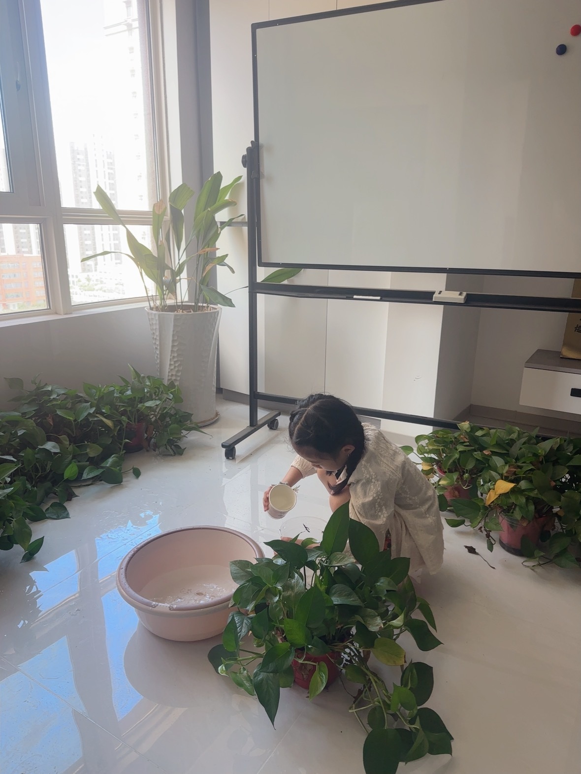 小小打工人 每次跟我上班都要做的工作之一——浇花 