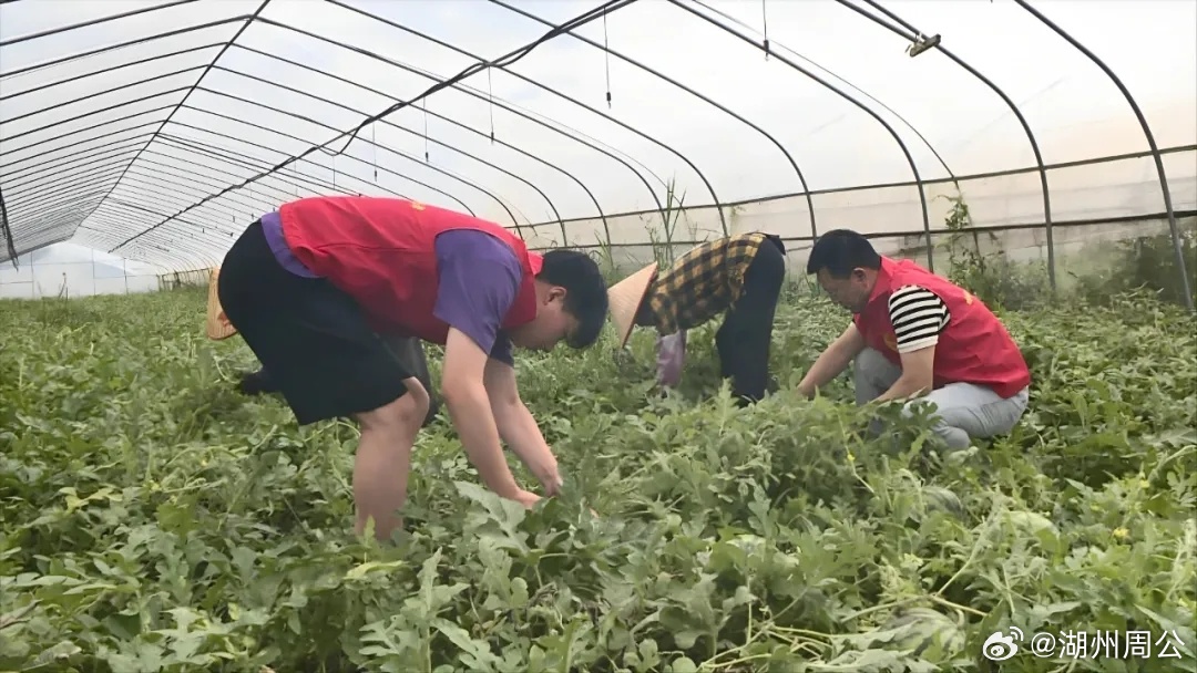  浙江全力打赢台风巴威防御主动仗迎战台风巴威浙江全面行动 台风“巴威”进入48小