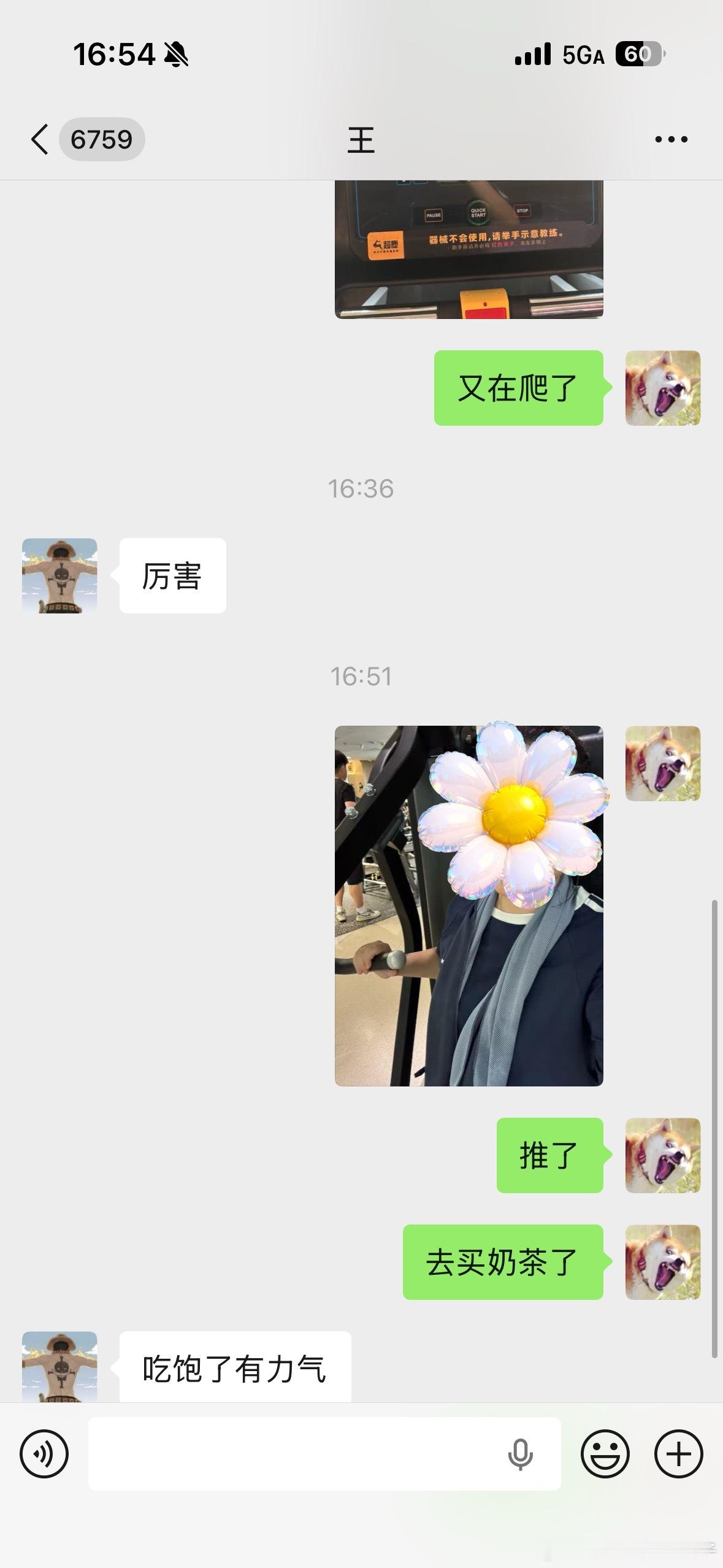 我日常：爬了 推了 去买奶茶了 