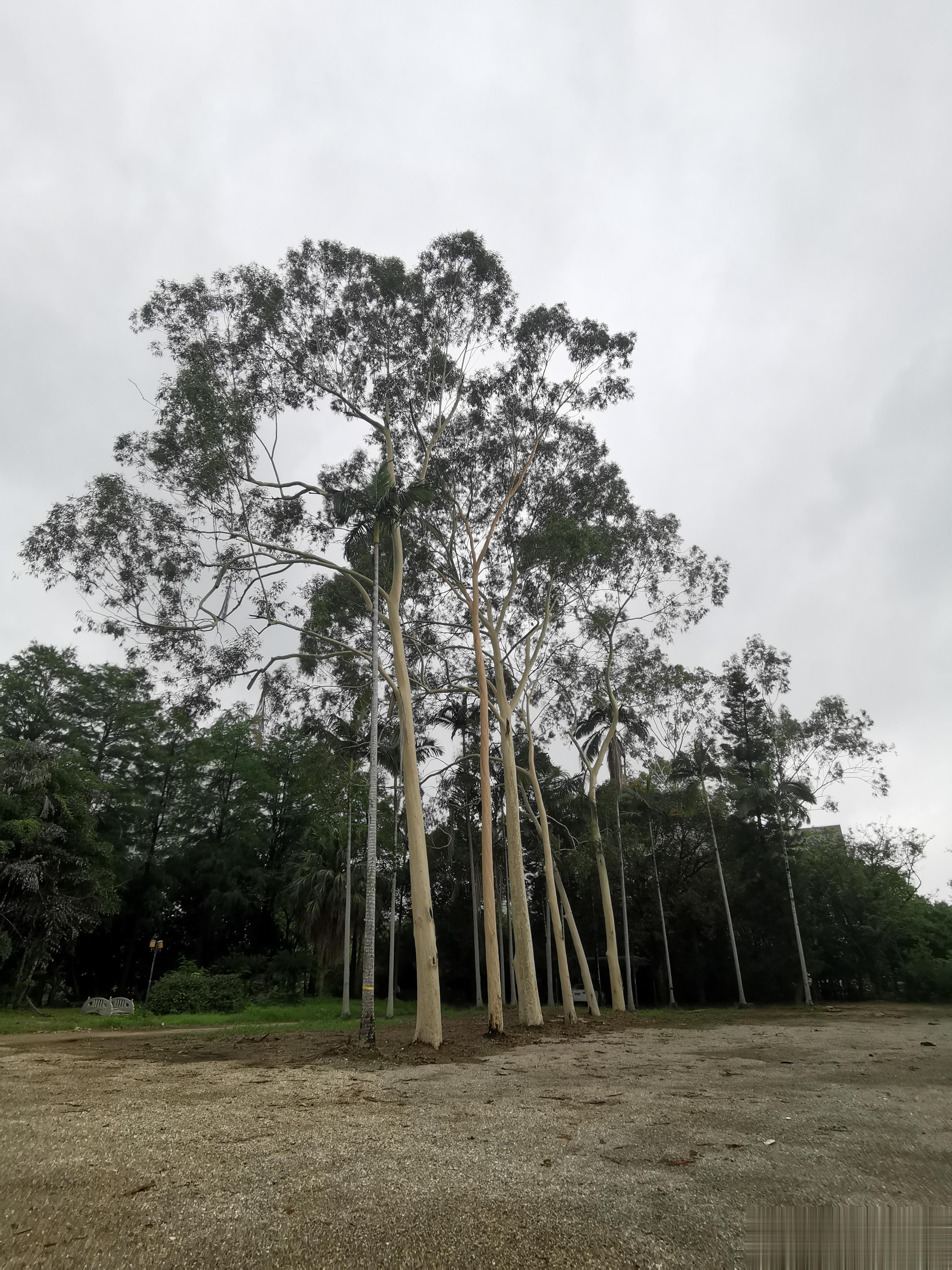 血管“堵塞”并非悄无声息，提醒：身体出现4个症状，别忽视1、呼吸急促如果肺部周围