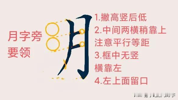 学绝招写好字: 常用50个偏旁部首书写要领(七)
欢迎新老朋友光临惠顾“学绝招写
