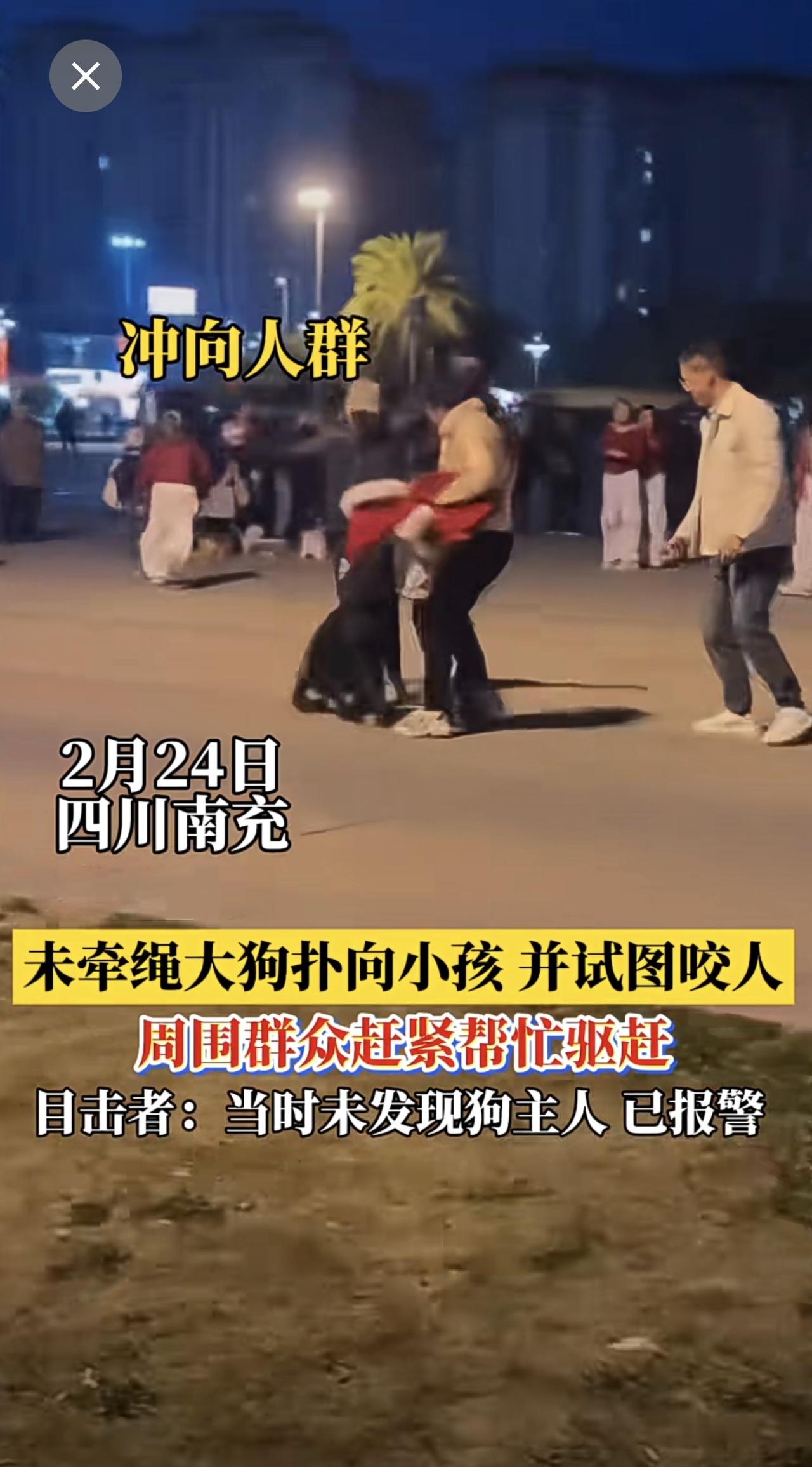 遛狗一定要牵绳！四川一地未牵绳大狗扑向小孩并试图咬人，周围群众赶紧帮忙驱赶（编辑