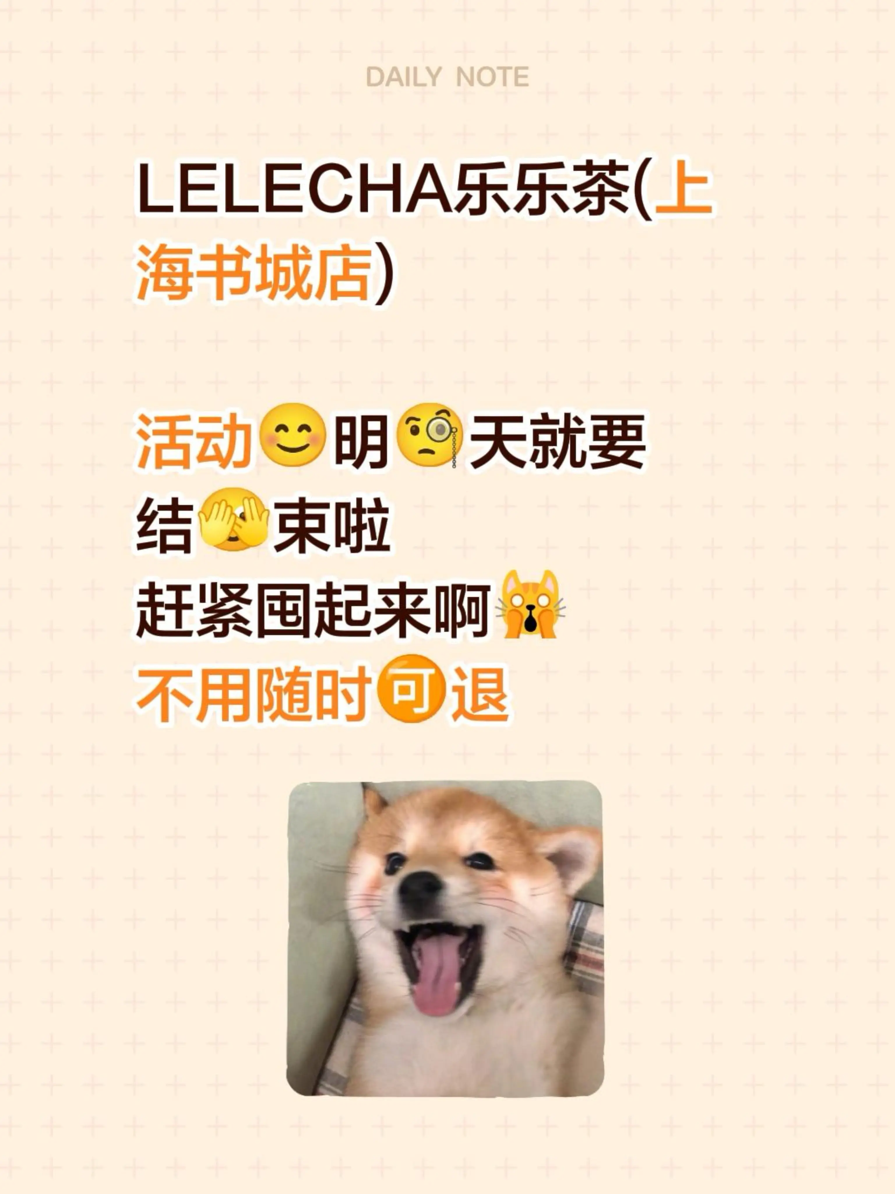 LELECHA乐乐茶(上海书城店)  活动😊明🧐天就要 结🫣束啦...