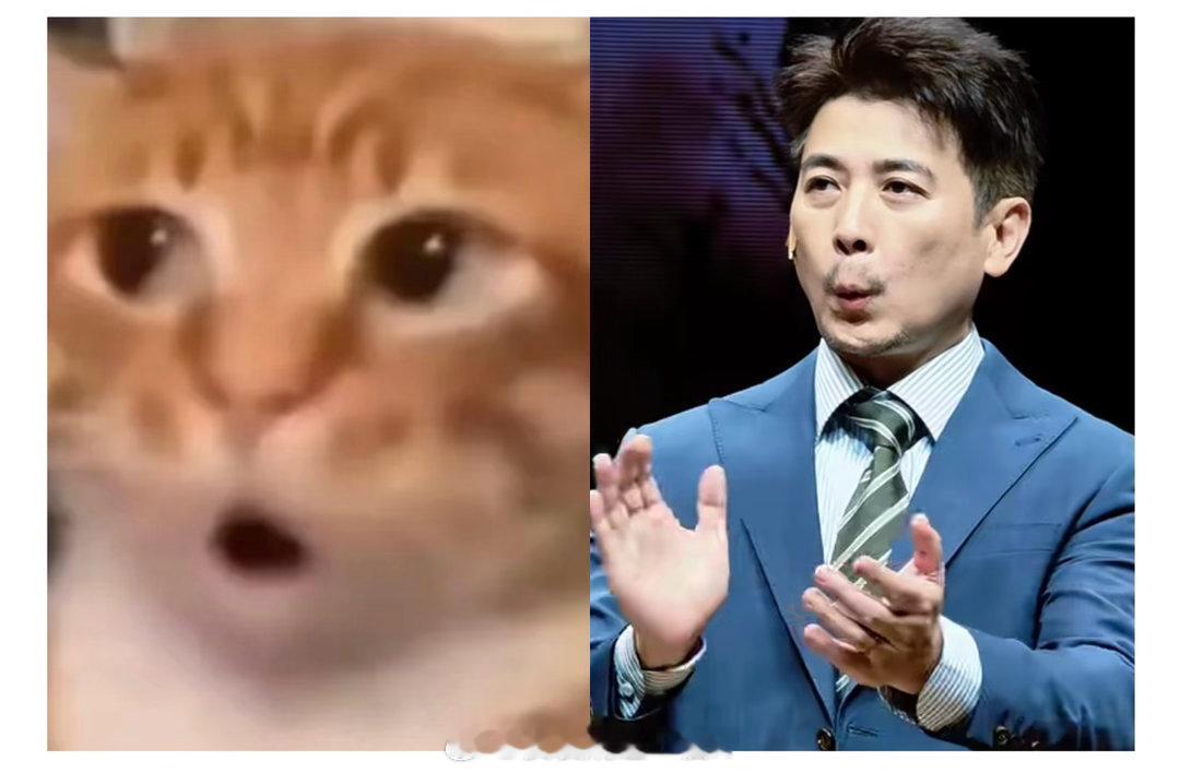 保剑锋  保哥就是一只小猫咪