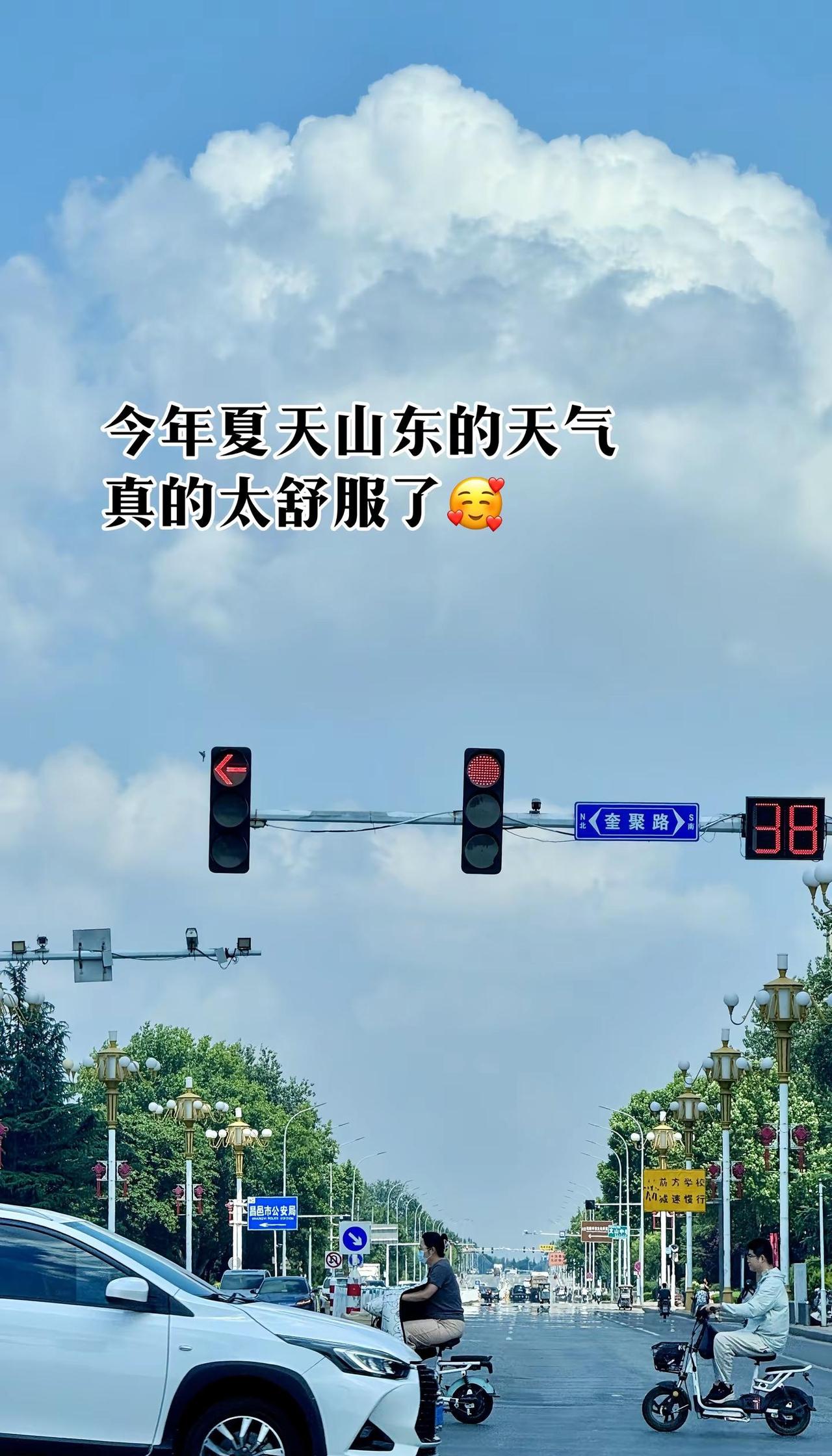 有没有觉得今年夏天好舒服呀 没那么热 早上晚上凉凉的 中午树荫下也是凉凉的今年夏