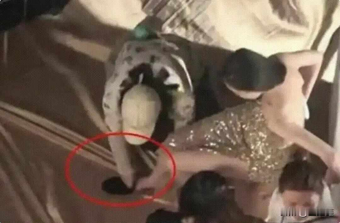 月薪三千却遭“非人”对待？明星助理“反水”撕开娱乐圈畸形潜规则

你以为当明星助