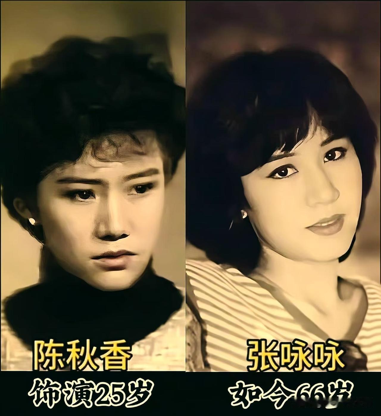 一眼回老剧！《昨夜星辰》这波今昔同框，满屏都是岁月痕迹。
 田丰、张佩华、沈时华