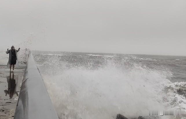 下联：雪飘北国万重山。
下联：台独海峡万年臭