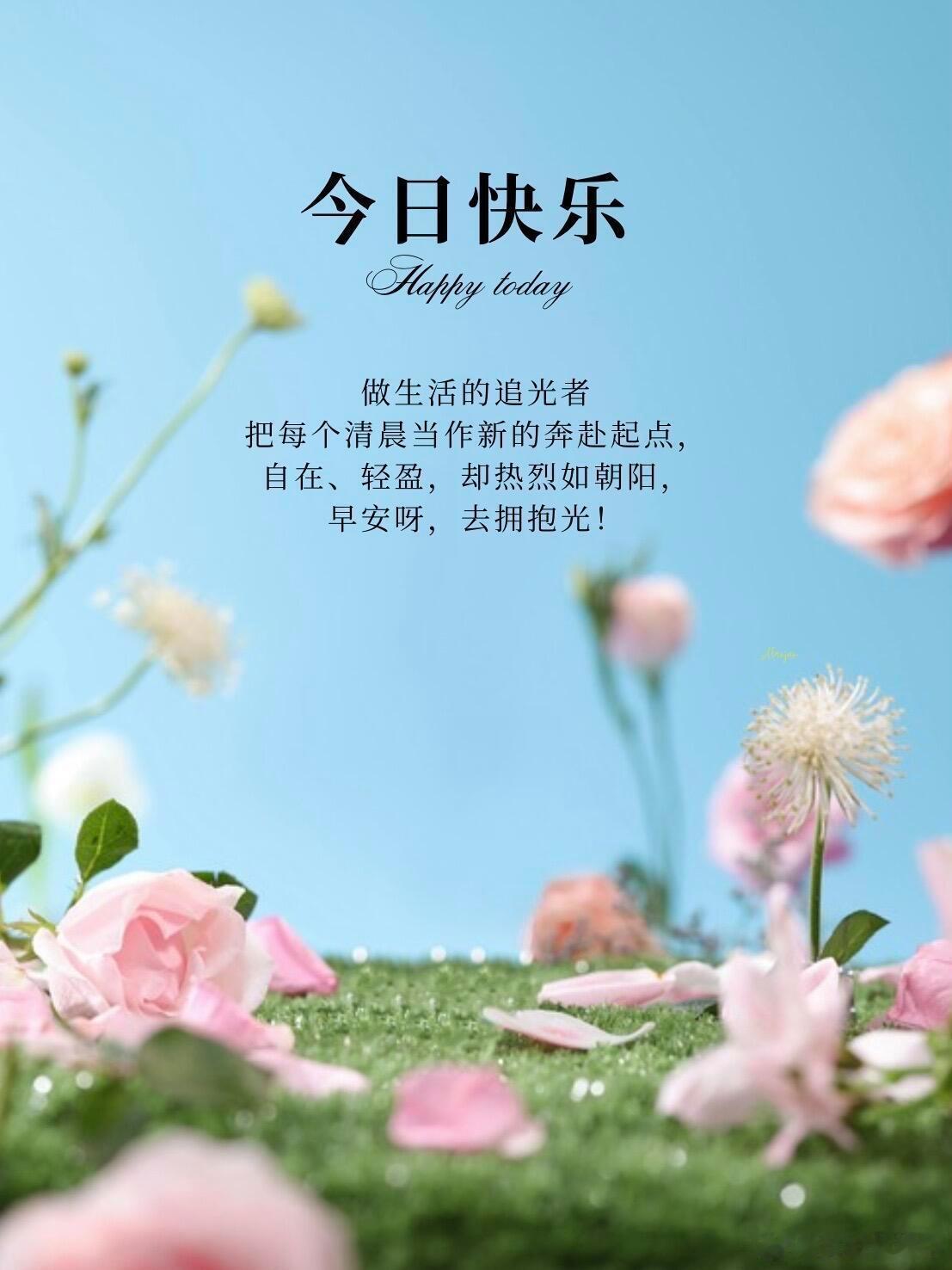早安 生活不用过得太快，慢慢走、细细过就好。把心态放轻松，把日子过温柔，节奏慢一