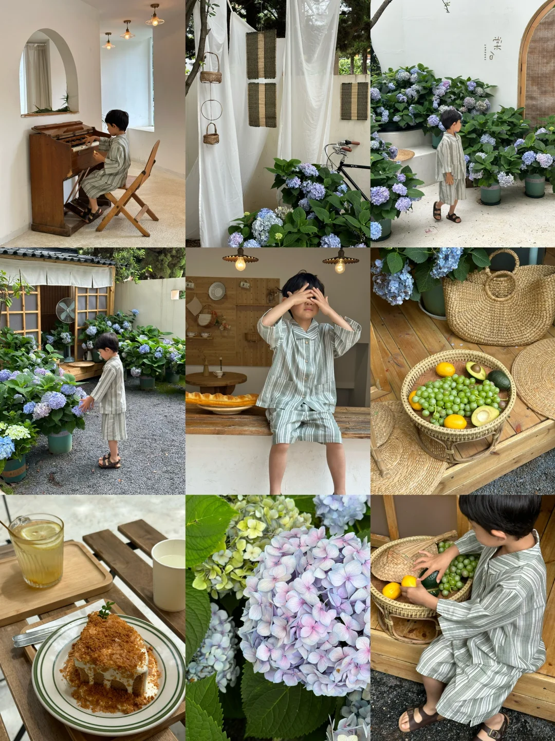 𝐂𝐡𝐢𝐜𝐜𝐡𝐢𝐜🕊️