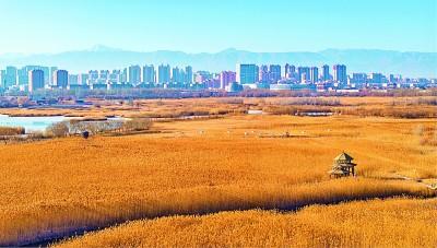 今日（12月16日）重点新闻速览，图文结合更易读👇
 
🇨🇳 国内要闻
 