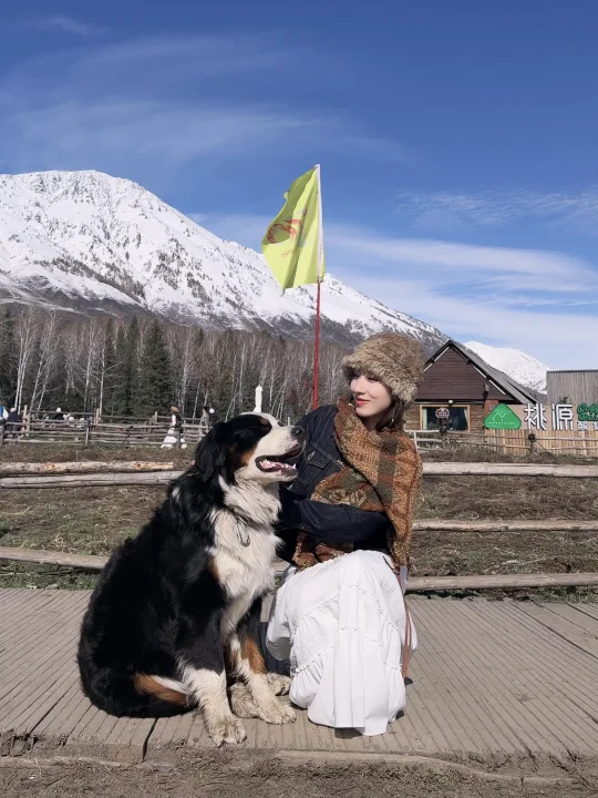 禾木村🏔️就是一个巨大的狗狗乐园🐕
