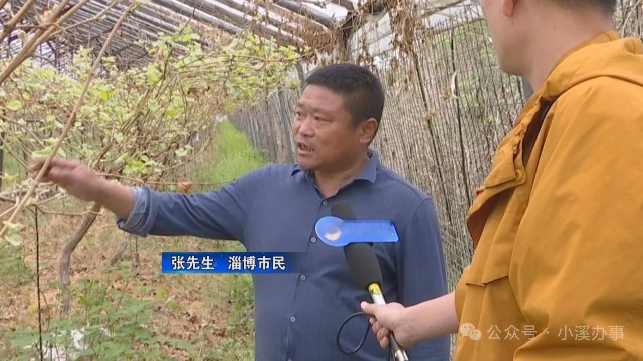 淄博: 葡萄大面积减产 种植户怀疑隔壁养鸭场“臭气”带病菌
 
2026年4月2