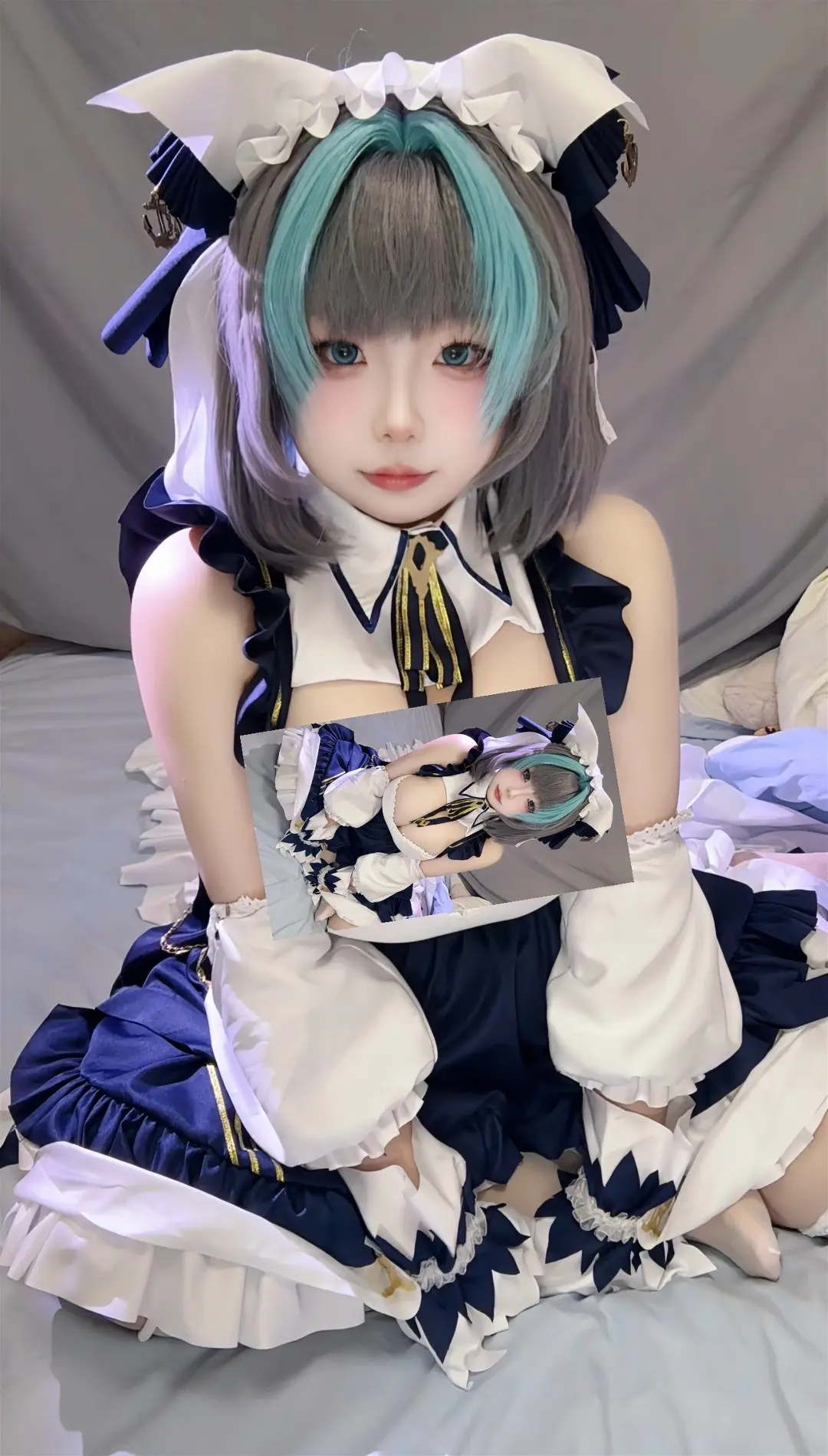 野生柴郡一只。