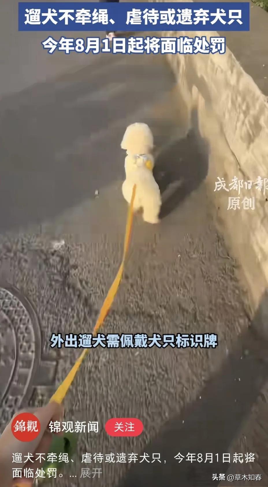 成都的养狗新规太给力了！狗咬伤人，狗主必须带伤者去医院检查，并且承担费用；外出遛