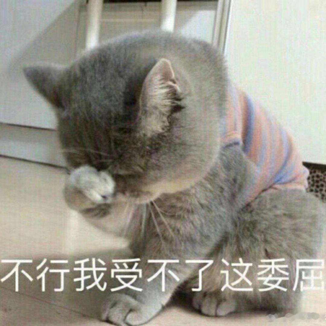 天塌了！！！日常最爱吃的外卖店歇业回家过年了！！！！ 