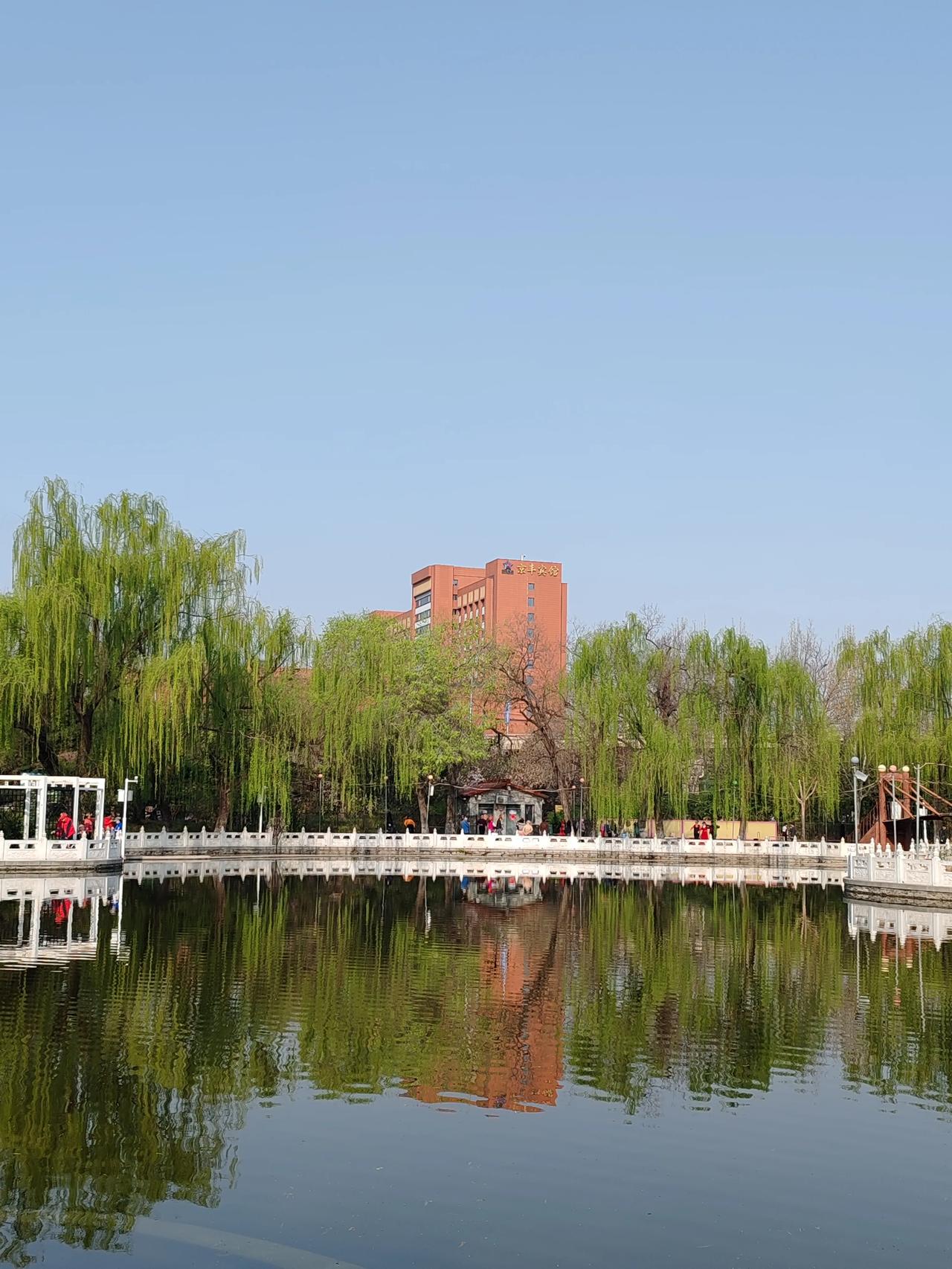 春日生活打卡季春天随手拍。